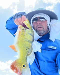 Delray Beach's Bass Fishing Magic